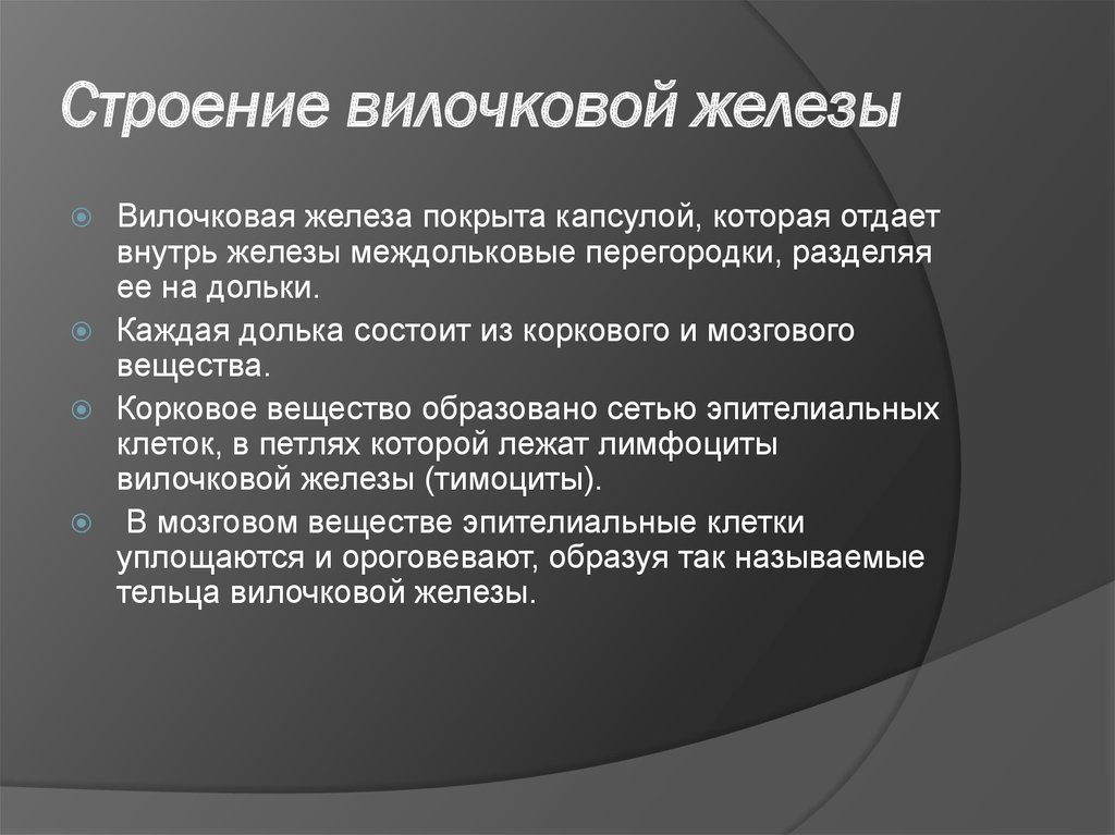 Железа кратко. Вилочковая железа строение. Вилочковая железа тимус строение. Вилочковая железа строение и функции. Вилочковая железа строение и функции кратко.