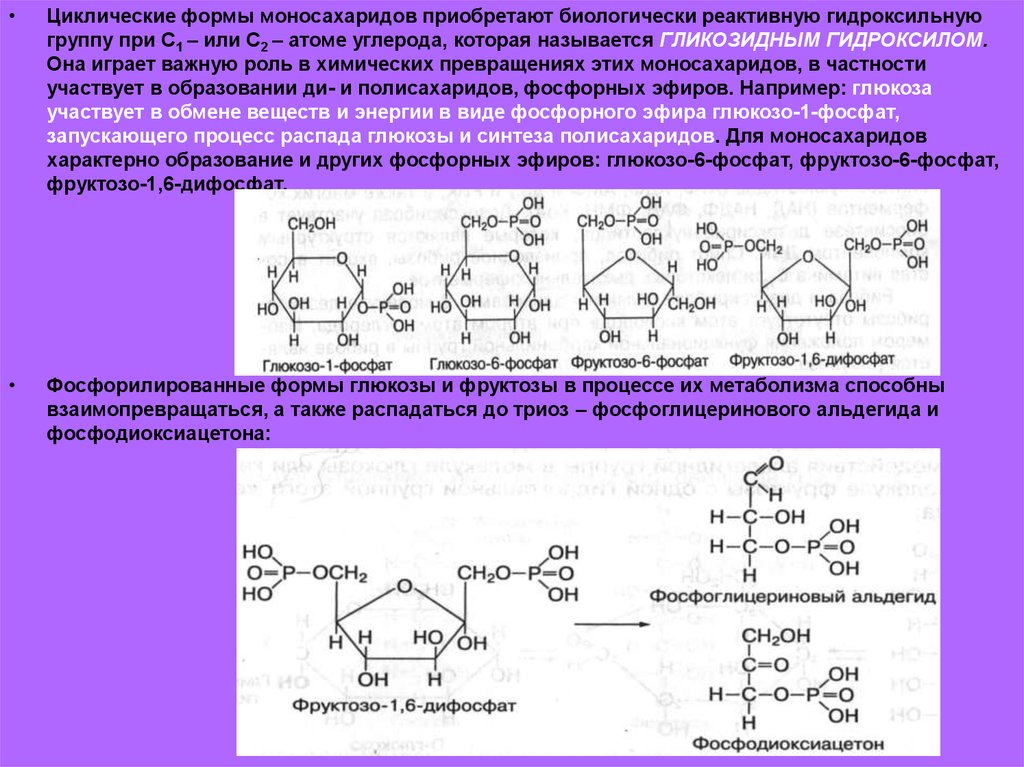 Происходят циклические реакции. Образование циклической формы Глюкозы. Образование циклических форм моносахаридов. Циклические формы моносахаридов. Циклические формы моноз.