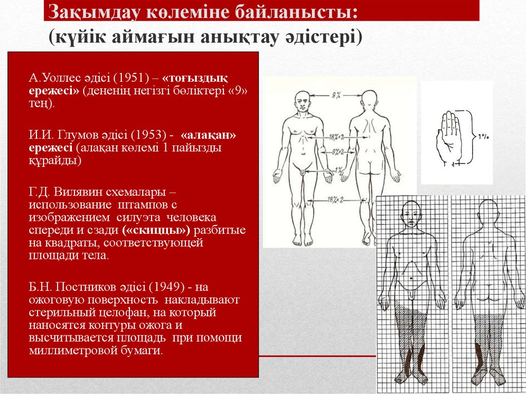 Схема г д вилявина