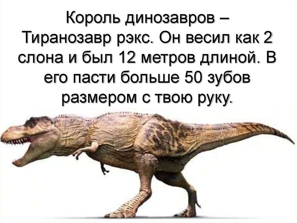 Песня жил динозавр был. Тираннозавр. Факты о динозаврах. Тираннозавр рекс для детей. Информация о Тираннозавре.