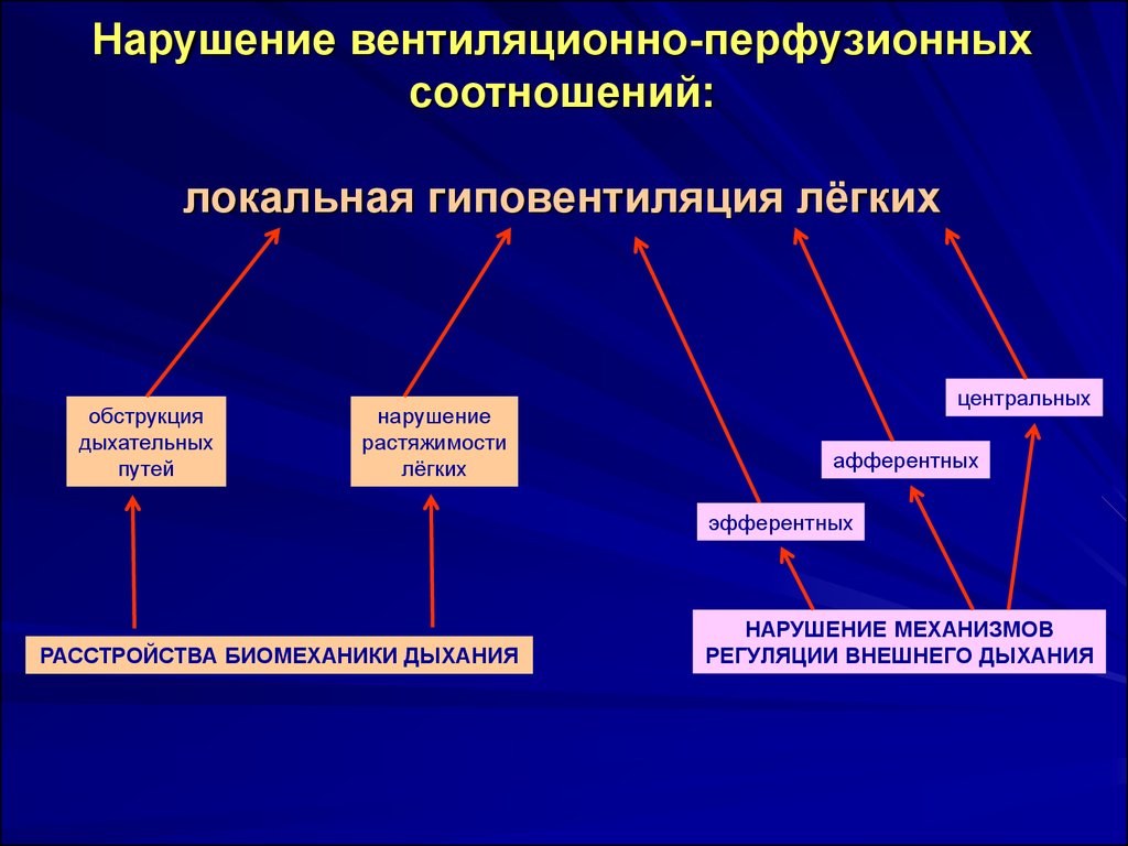 Соотношение вентиляции и перфузии в легких. Нарушение вентиляционно-перфузионных соотношений. Нарушение вентиляционно-перфузионных отношений причины. Дыхательная недостаточность патофизиология. Нарушения вентиляционно-перфузионных отношений в легких.