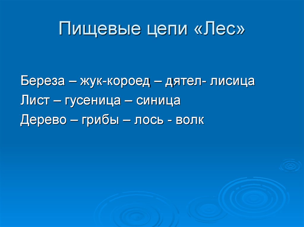 Цепей лес. Пищевые цепи березового леса. Пищевая цепочка березы. Цепь питания березового леса. Цепь питания береза.