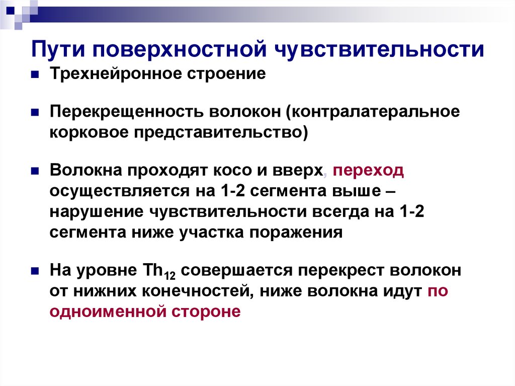 Поверхностные пути. Путь поверхности чувствительности. Поверхностная чувствительность. Пути чувствительности неврология. Пути поверхностной и глубокой чувствительности.