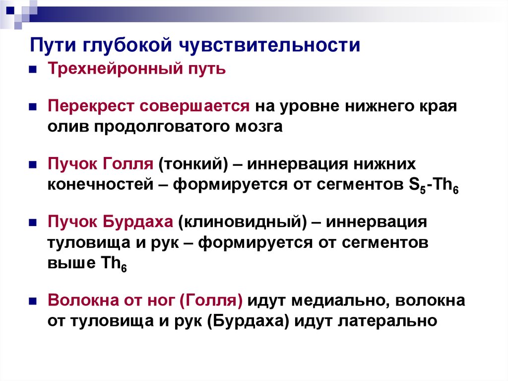 Путь проведения. Путь поверхностной чувствительности неврология. Путь глубокой чувствительности. Пути поверхностной и глубокой чувствительности неврология. Пути проведения поверхностной и глубокой чувствительности.