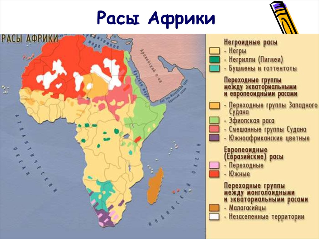 Большая часть населения южной америки говорит на. Карта плотности населения Африки 7 класс. Карта размещения населения Африки. Население Африки карта народы. Плотность населения Африки 7 класс география.