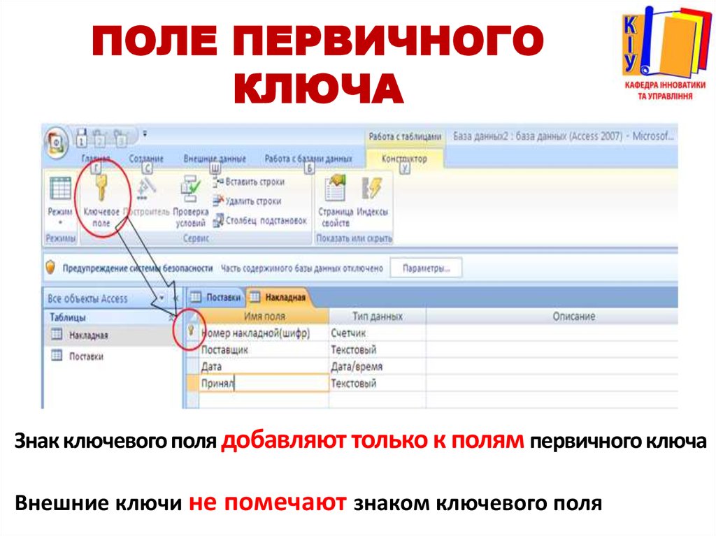 Ключ поле. Поле первичного ключа. Каким должно быть поле первичного ключа. Поля входящие в первичный ключ. Какие поля могут быть первичными ключами.