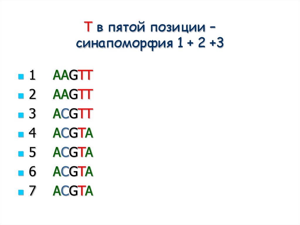 1 2 3 4 5 позиции