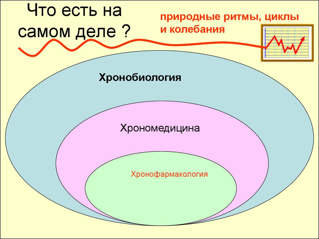 Биоритмы и хронопатология презентация