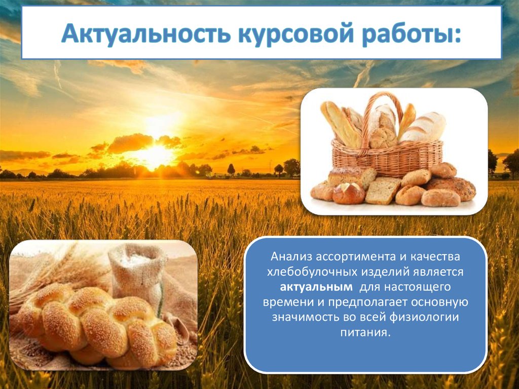 Курсовая работа по теме Показатели качества хлеба и хлебобулочных изделий