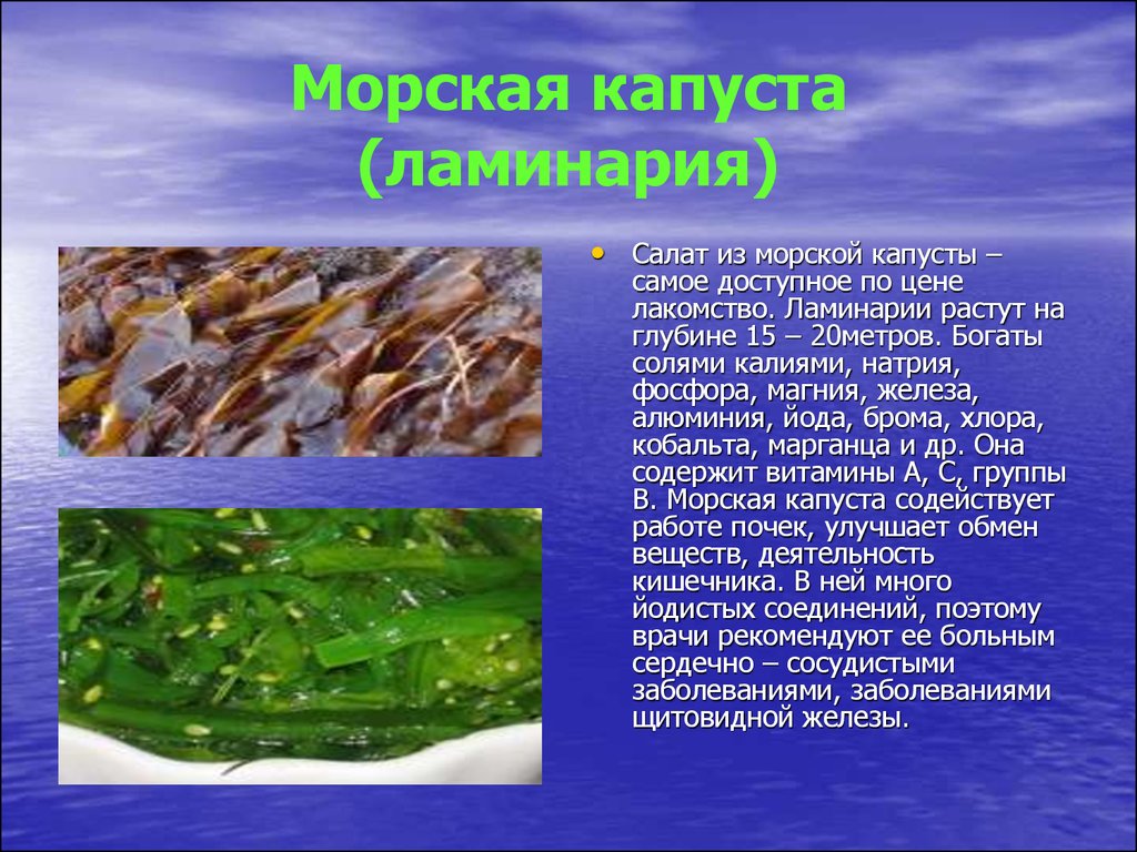 Подготовить сообщение водоросли. Морская капуста ламинария. Съедобная бурая водоросль, "морская капуста". Бурые водоросли ламинария. Ламинария или морская капуста.
