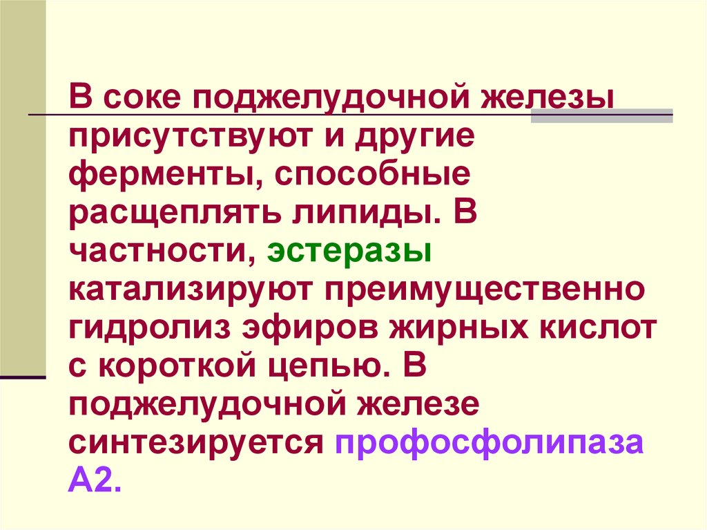 Ферменты панкреатического сока расщепляют