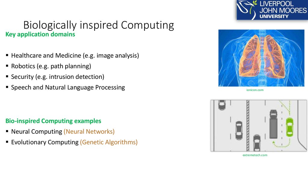 Biologically inspired Computing