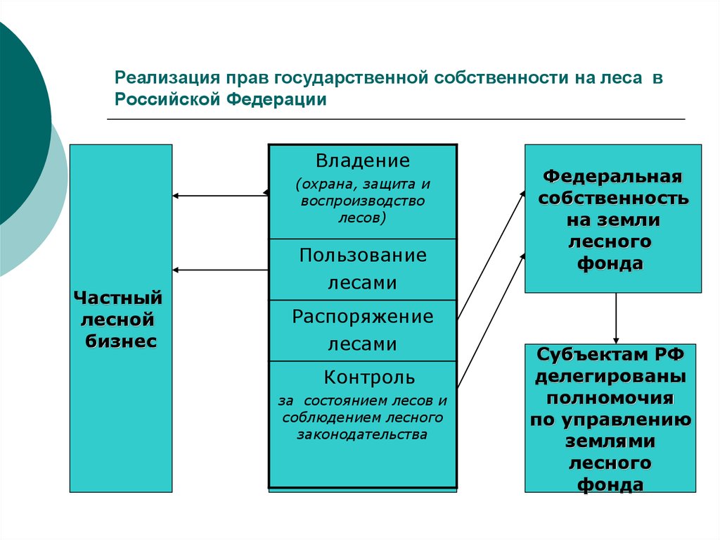 Право собственности на лес. Право владения на Лесные участки.