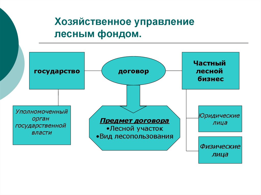 Лесное право презентация