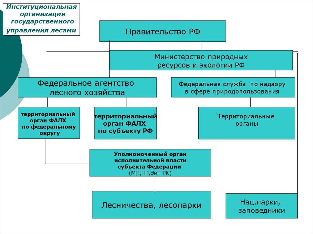 Министерство природных ресурсов структура