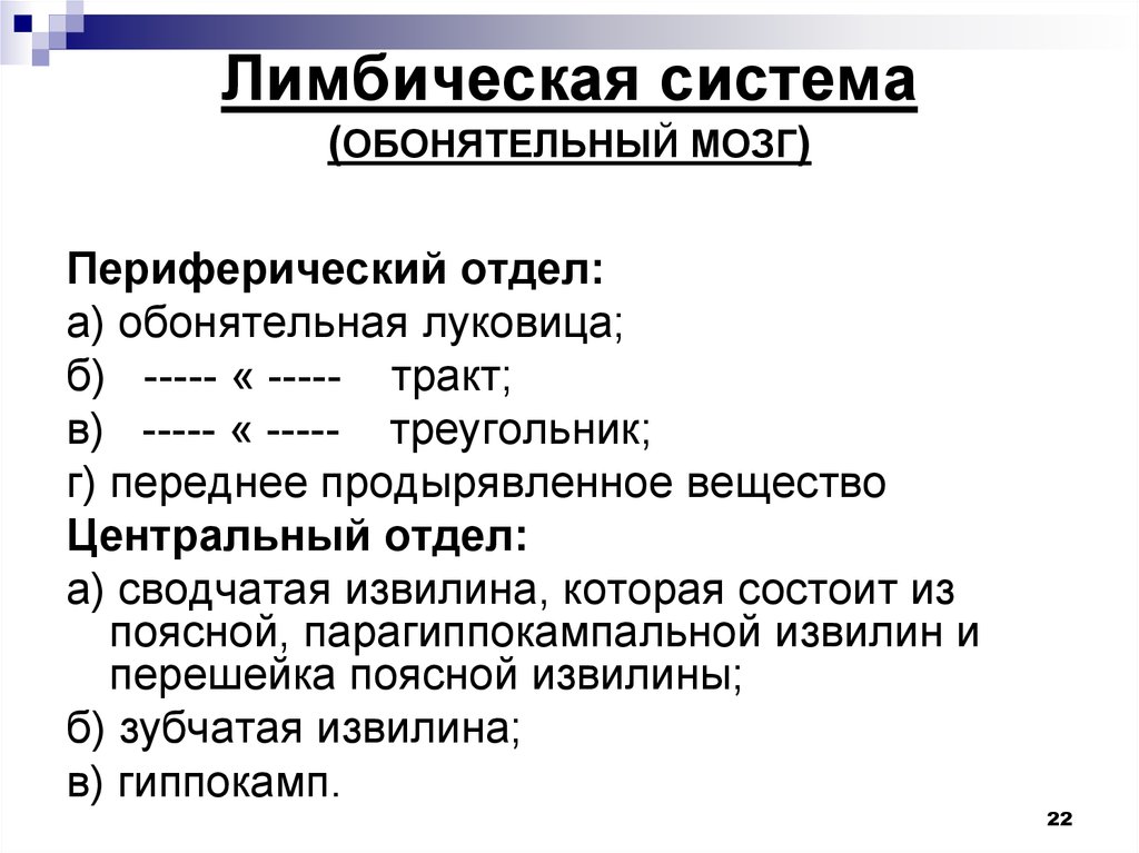 Периферический мозг. Обонятельный мозг и лимбическая система. Обонятельный мозг функции. Периферический отдел обонятельного мозга. Центральный отдел обонятельного мозга включает:.