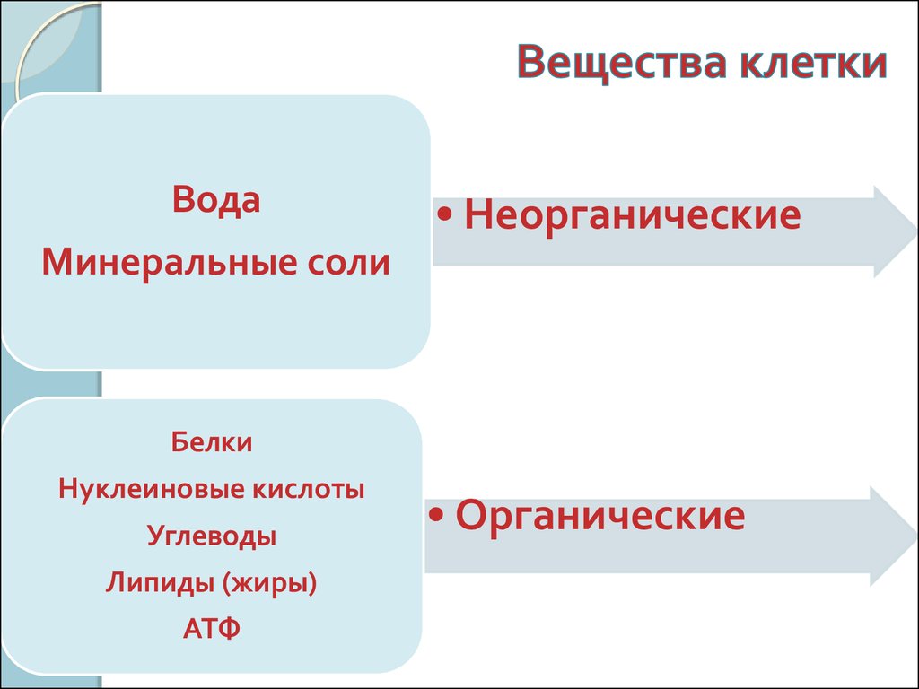 Основания органические и неорганические