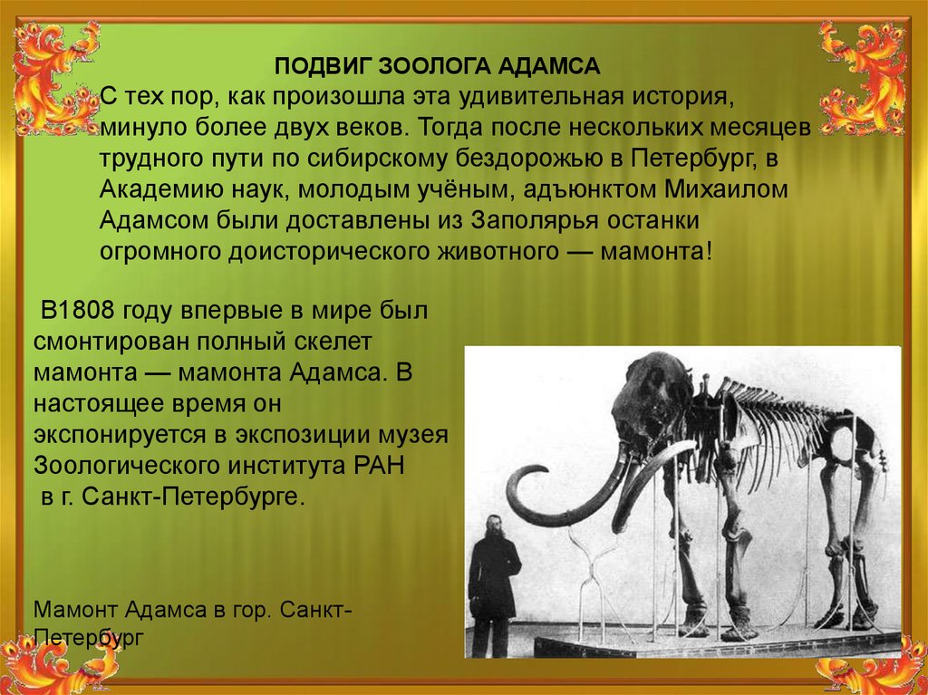 Информация о была найдена. Находки Мамонтов в России 5 класс. Сообщение о находках останков Мамонтов в России 5. Информация о находках останков Мамонтов на территории России. Рассказ о находках останков Мамонтов на территории России.