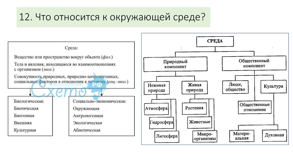 Что относится к. Что относится к окружающей среде. Что относят к окружающей среде. Что относится к среде окружающей человека?. Что не относится к окружающей среде.