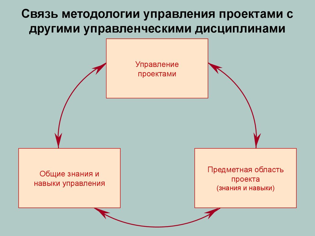 Взаимосвязь управления проектами инвестициями и функциональным менеджментом реферат