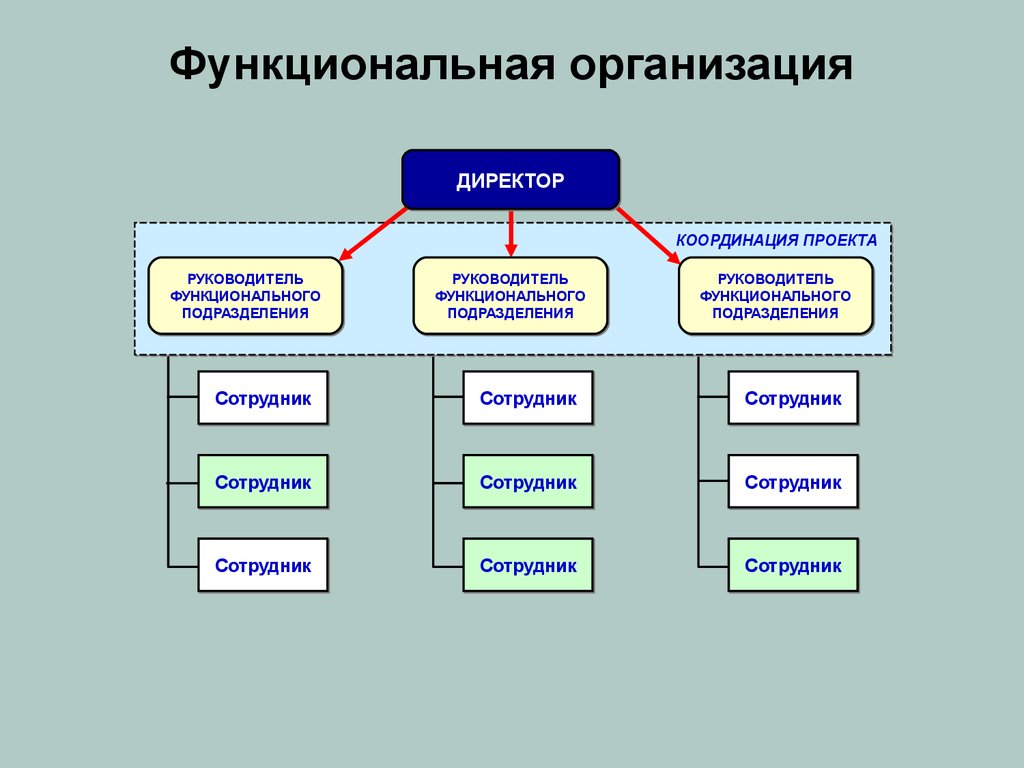 Подразделение предметов. Функциональная структура организации. Функциональная организационная структура управления схема. Функциональная организационная система управления схема. Функциональная структура организации схема.