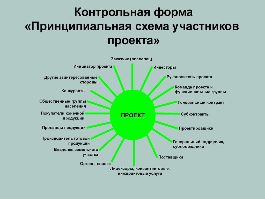 Контрольная форма «Принципиальная схема участников проекта»