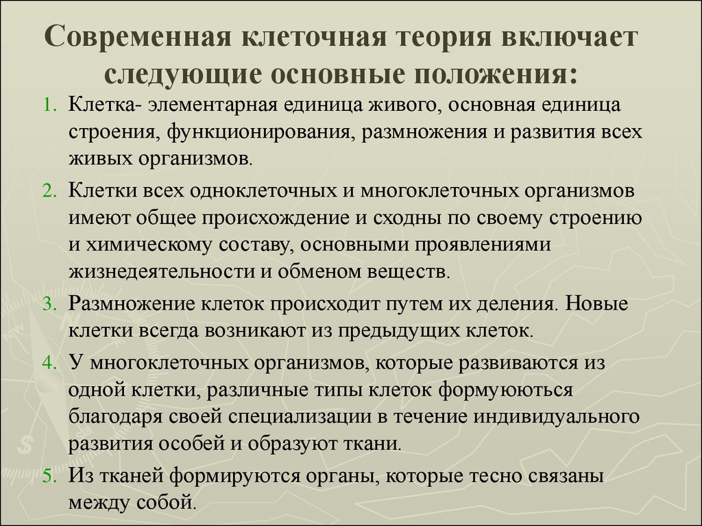 Современной клеточной. 3. Клеточная теория. Основные положения клеточной теории. Положения современной клеточной теории 10 класс. Современная клеточная Тери я. Современная клеточная теория основные.