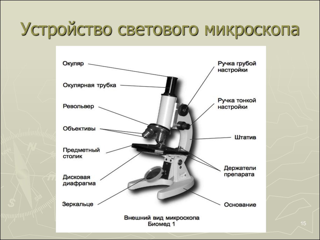 Какую функцию выполняет револьвер в микроскопе. Опишите строение микроскопа. Световой микроскоп строение. Основные части микроскопа 5 класс биология. Биология 5 кл строение микроскопа.