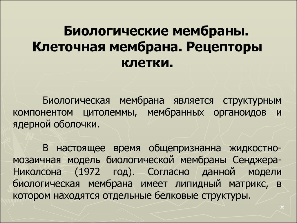 Что является минимальным структурным элементом презентации