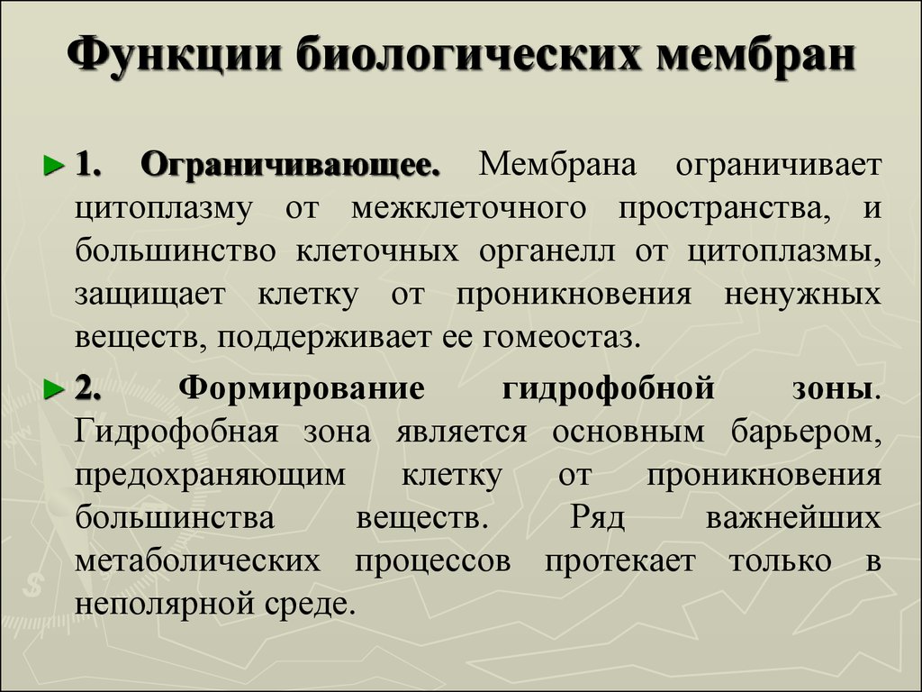 Биологические возможности. Функции биологических мембран. Основные функции биологических мембран. Биологическая роль мембран. Мембрана биология функции.