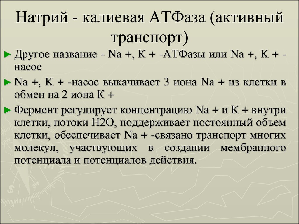 Атфаза. Натрий калиевая АТФАЗА. Механизм работы натрий калиевой АТФАЗЫ.