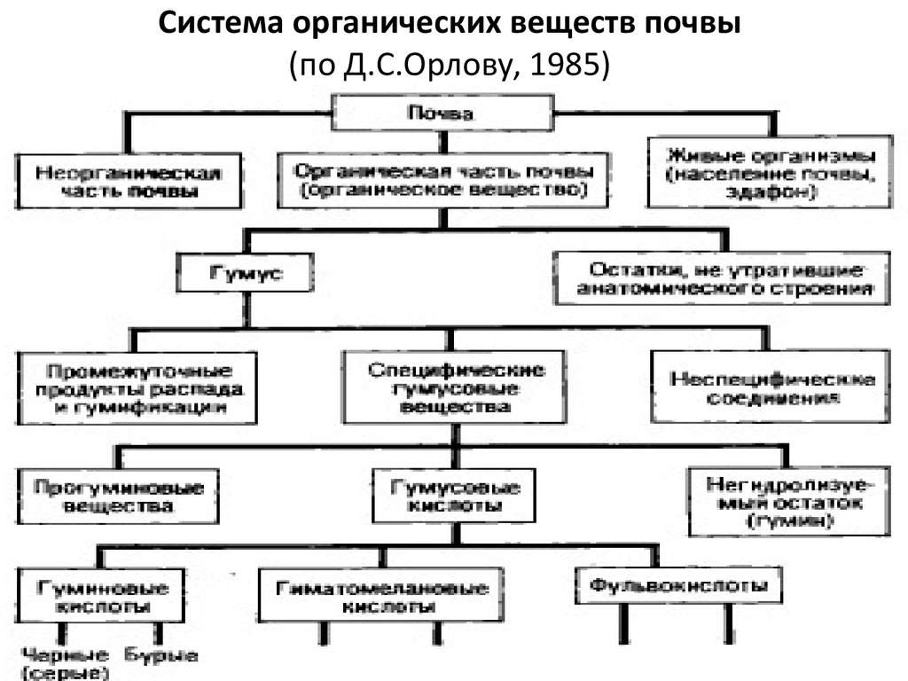 Совокупность органического вещества. Общая схема формирования органической части почвы. Система органических веществ почвы. 28. Общая схема формирования органической части почвы.. Классификация органических веществ почвы.