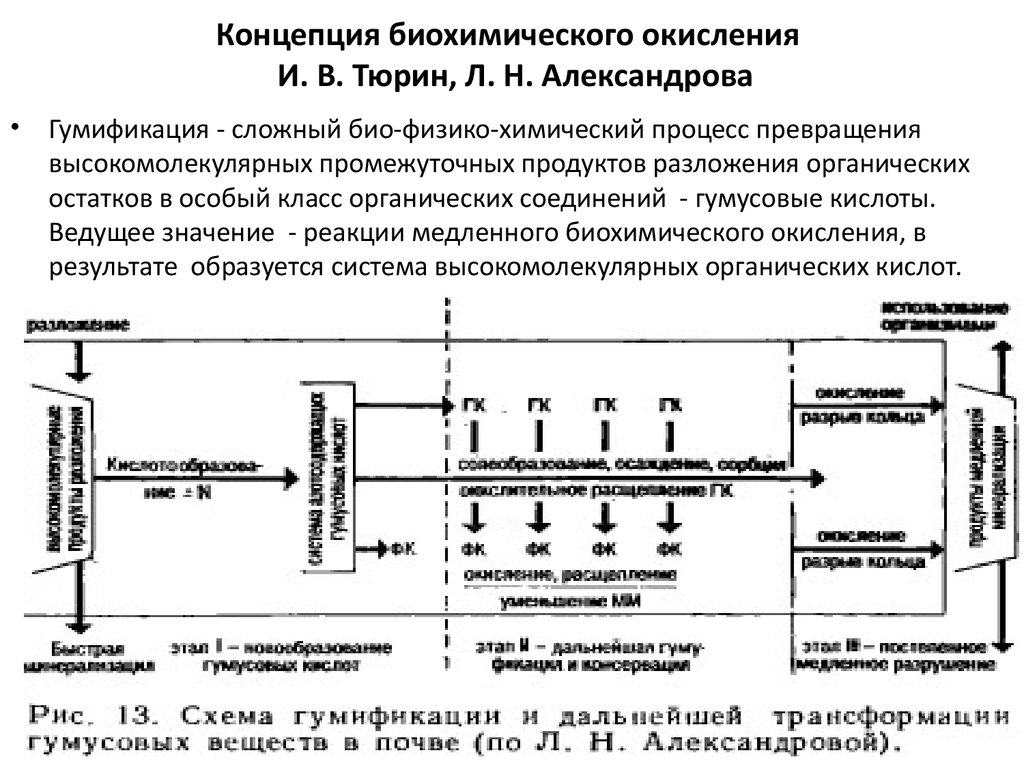 Биохимическое окисление