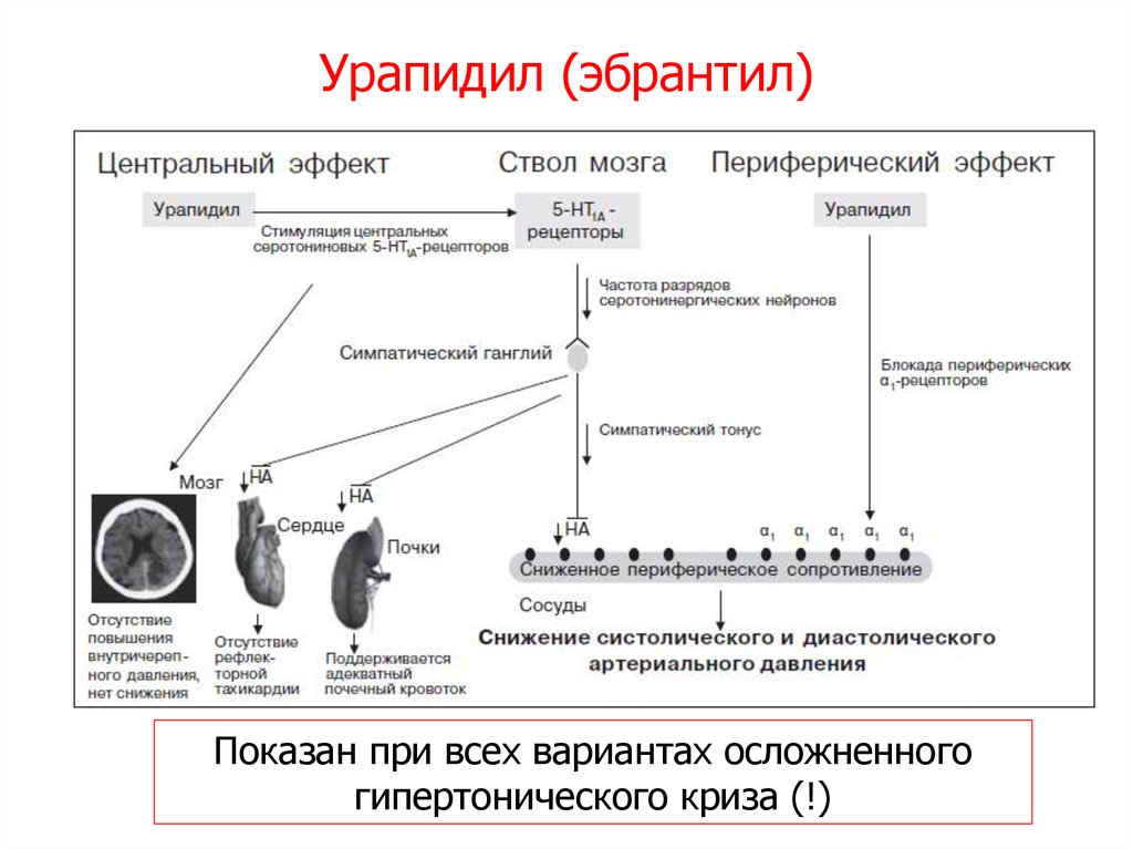 Сниженные рефлексы