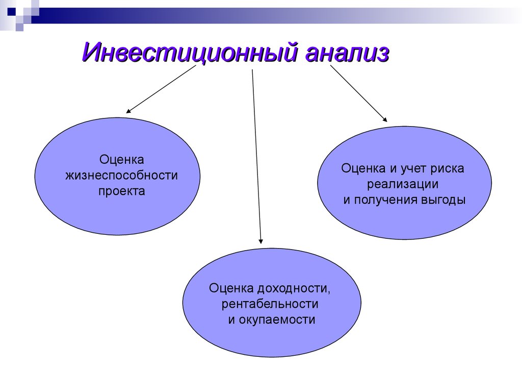 Исходя из целей и специфики финансовой реализуемости инвестиционные проекты оцениваются