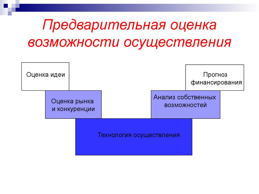 Предварительный анализ осуществимости проекта