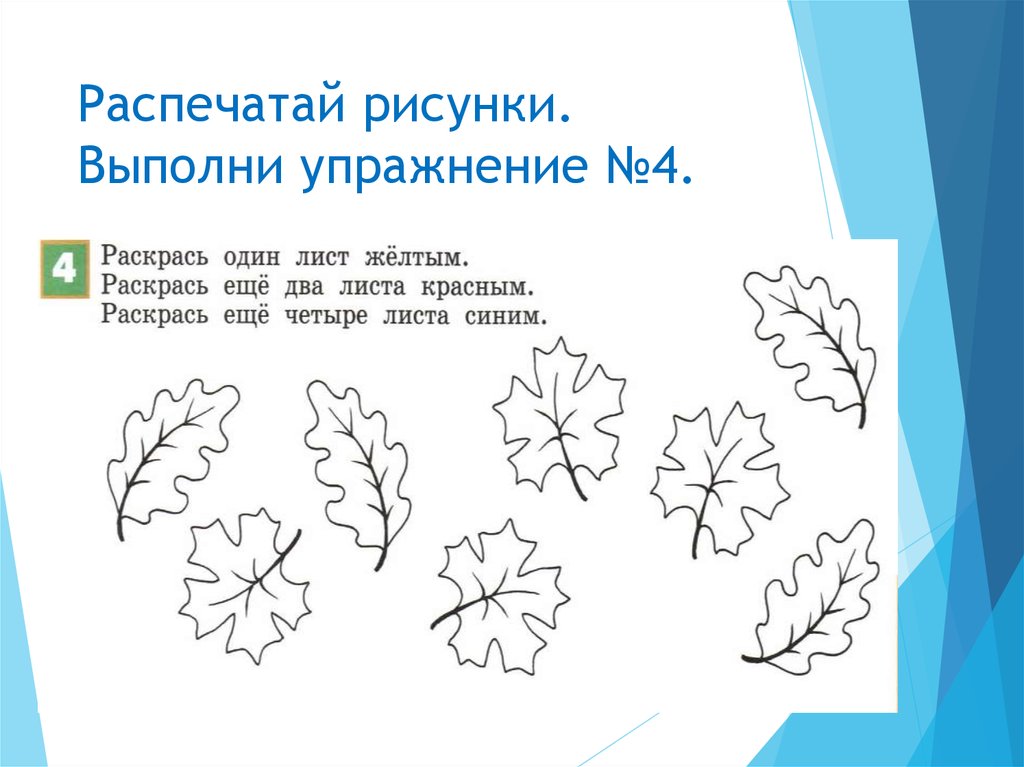 4 выполните рисунок. Упражнение выполни рисунок. Урок информатики правило раскрашивания. Правило раскрашивания урок информатики 1 класс. Правило раскрашивания цвет.