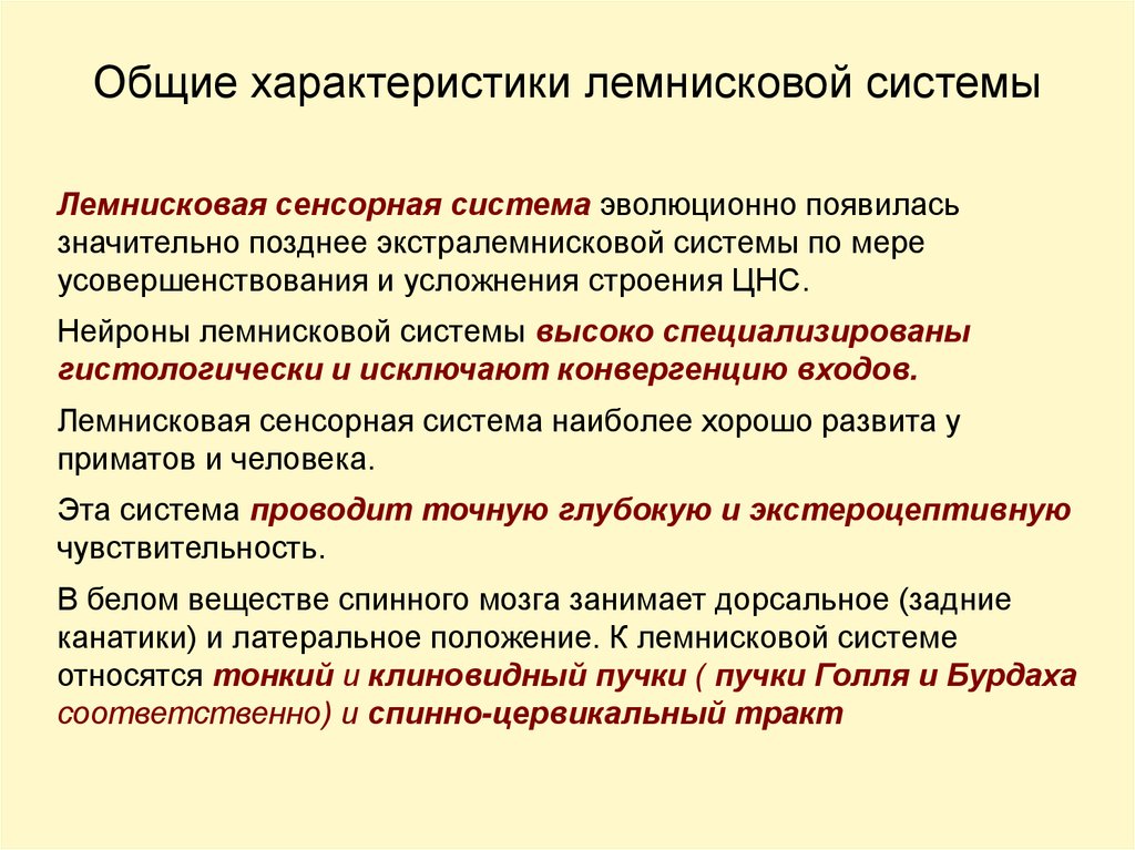 Путь проведения. Экстралемнисковый путь физиология. Экстралемнисковая сенсорная система. Лемнисковый путь проведения физиология. Лемнисковой, экстралемнисковой.