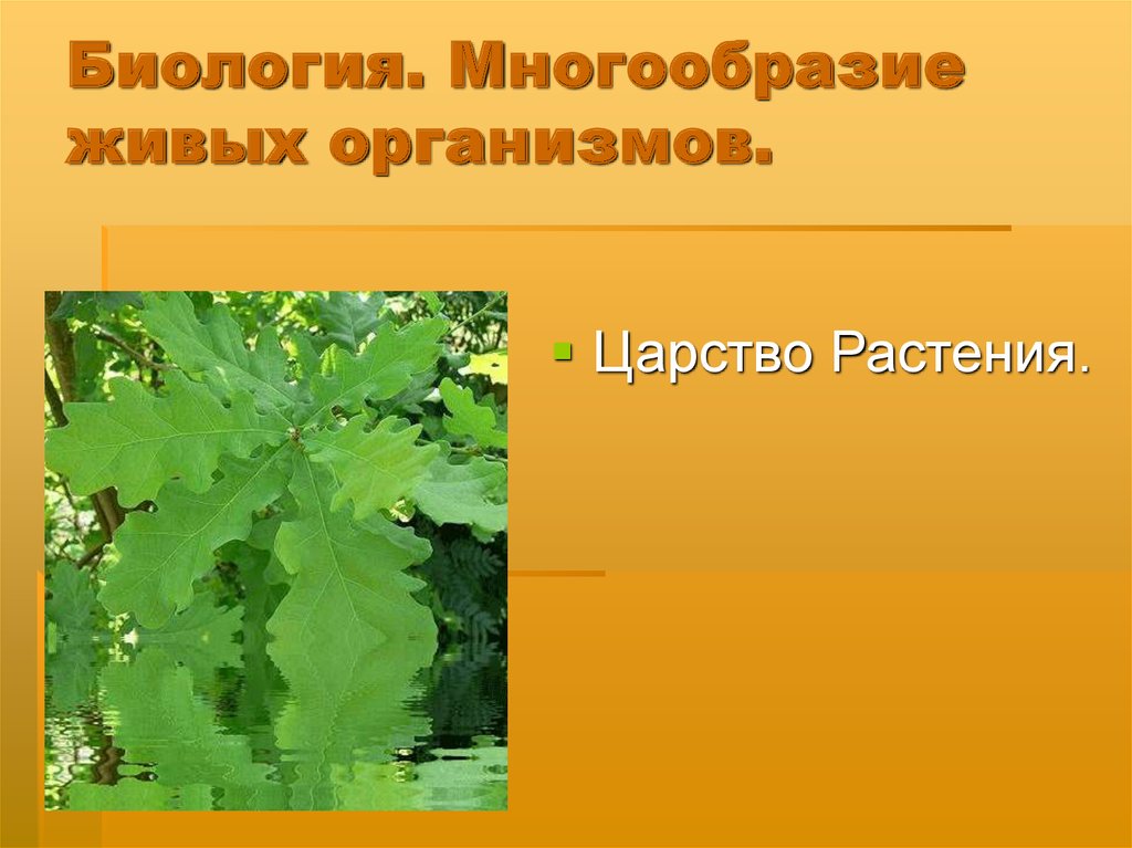 Растения живой организм 7 класс презентация