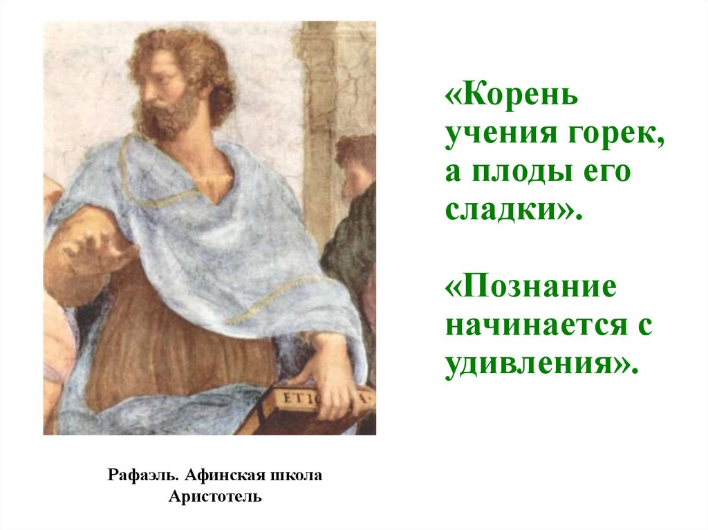 Плод учения горек. Познание начинается с удивления Аристотель. Корень учения горек да плод сладок. Аристотель любовь начинается с удивления. Корень учения горек да плод его сладок рисунок.