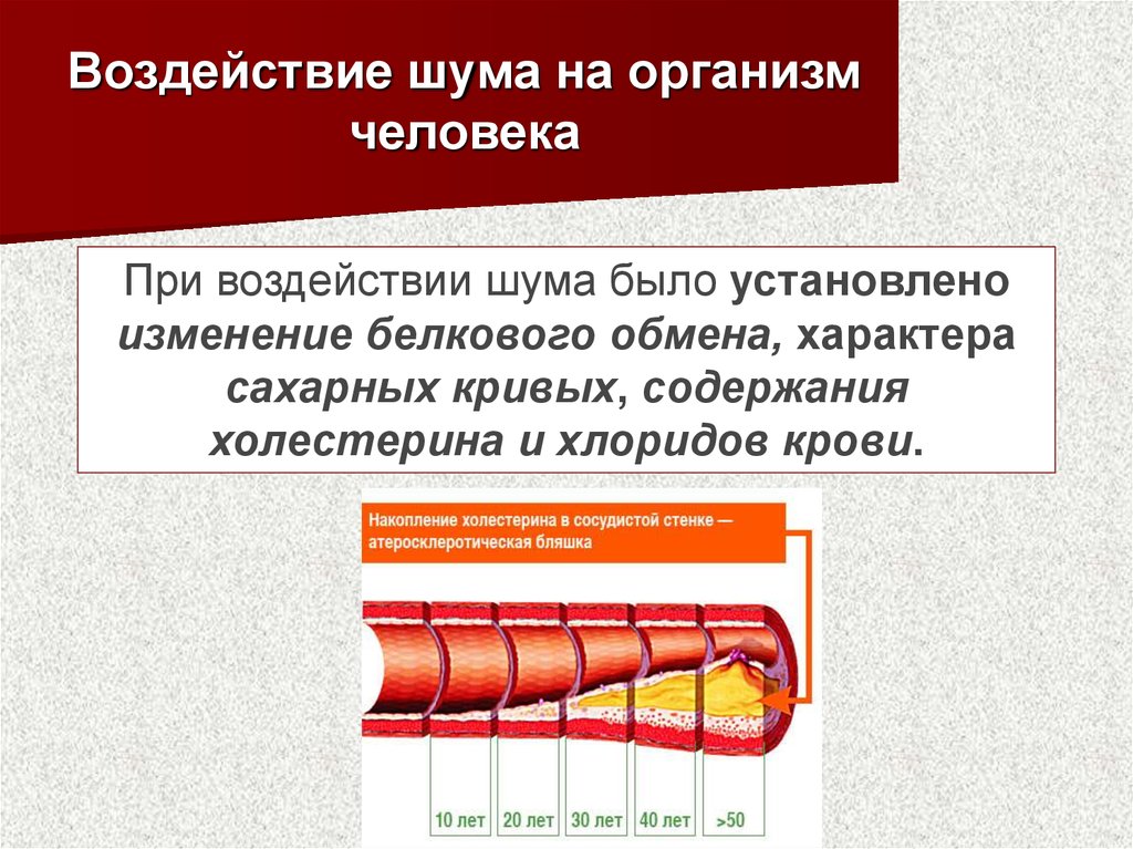 Влияние шума на организм человека проект по биологии