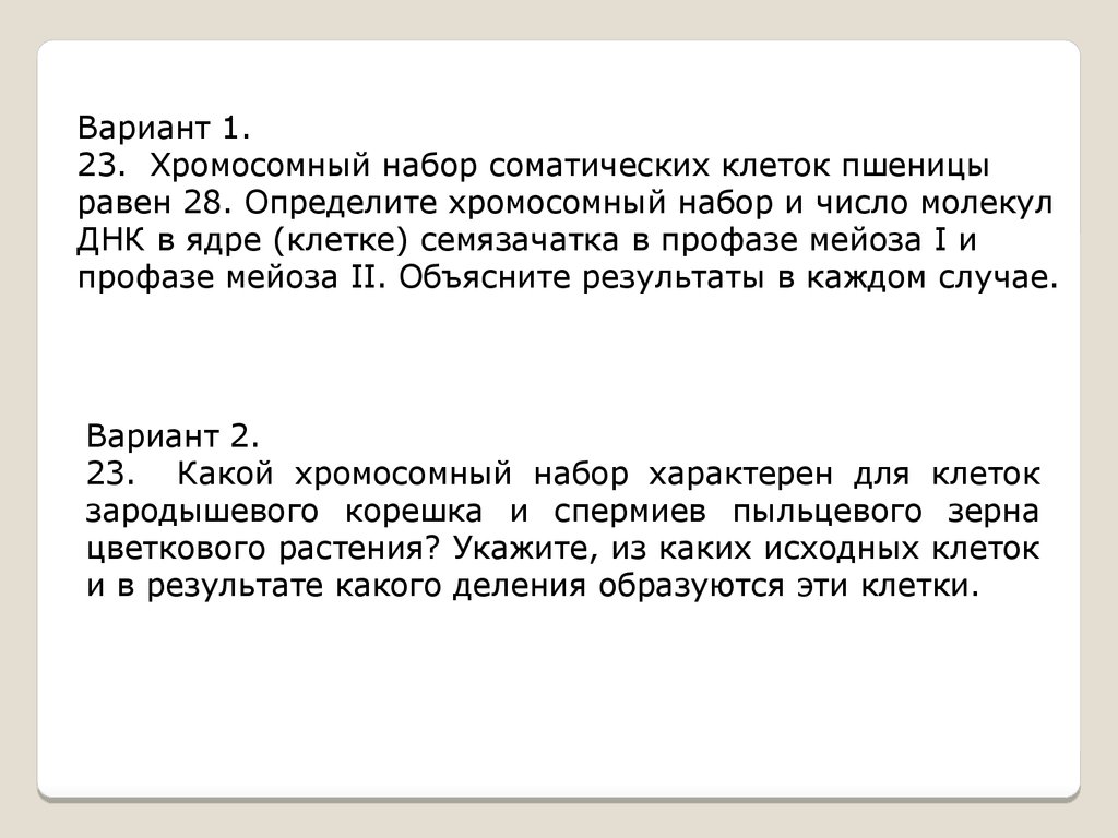 Хромосомный набор соматических клеток пшеницы 28