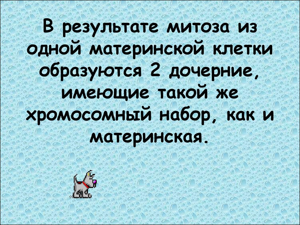 В результате митоза образуются две дочерние клетки