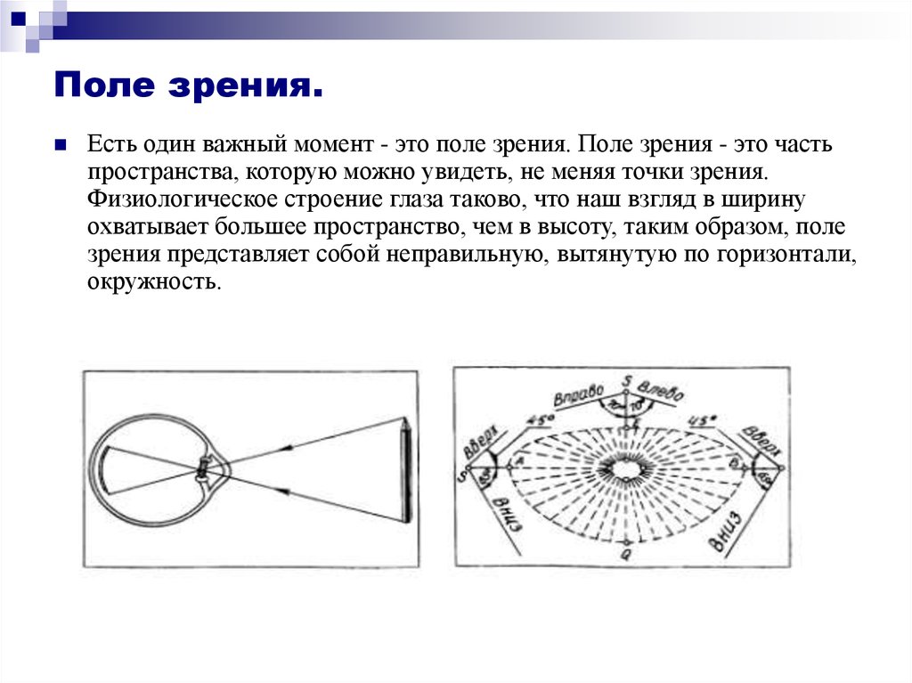 Как изменяется поле зрения. Поле зрения офтальмология схема. Определение полей зрения глаз. Поле зрения физиология. Поле зрения обоих глаз.