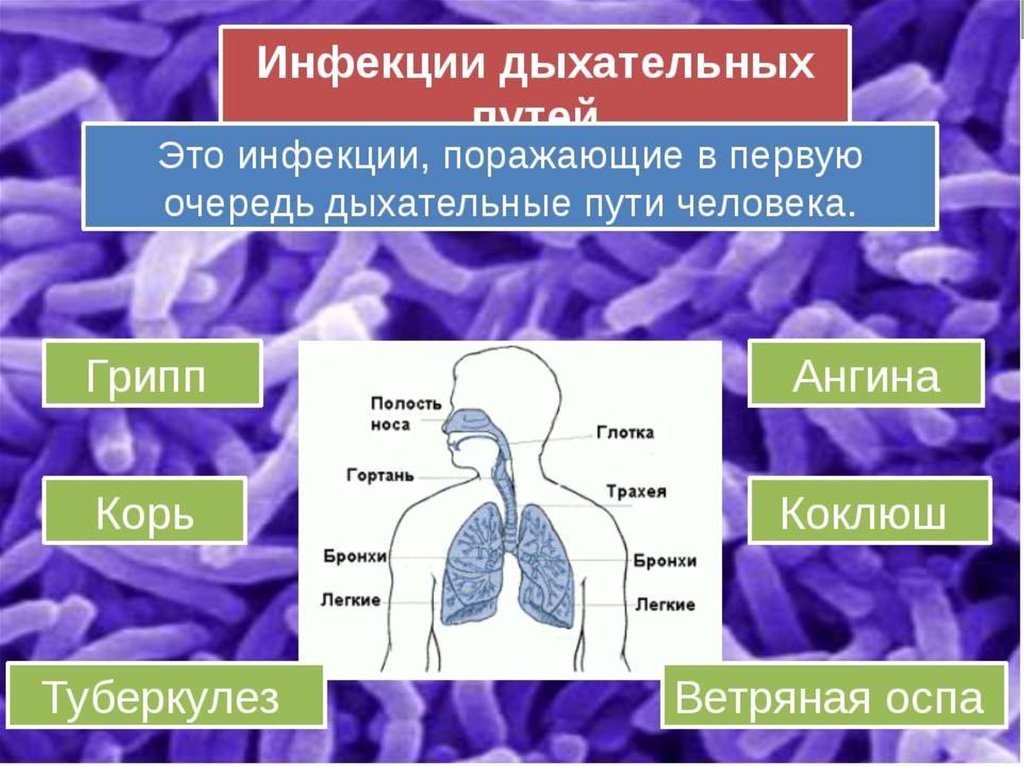 Дифтерия грипп туберкулез к каким инфекциям. Инфекции дыхательных путей. Инфекции дыхательных путей заболевания. Инфекции дыхательных путей презентация. Инфекционные заболевания верхних дыхательных путей.