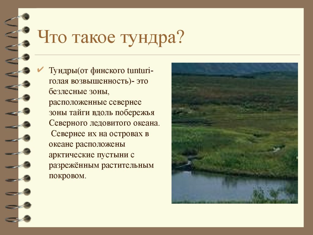 Сообщение о тундре. Доклад о тундре. Что такое тундра определение. Что такое тундра рассказать.