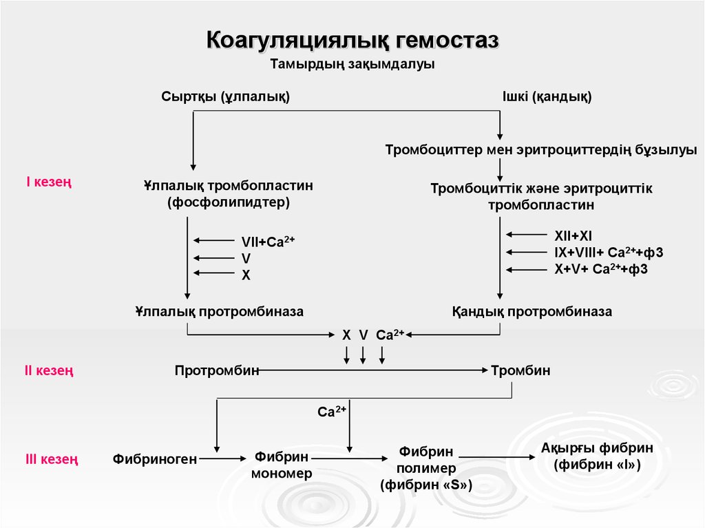 Схема плазменного гемостаза