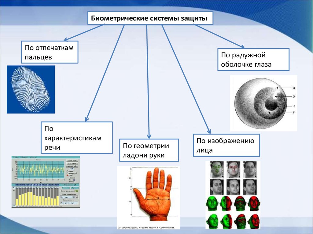 Биометрия это. Типы систем биометрической идентификации. Биометрические методы защиты. Биометрические системы защиты информации. Биометрические методы защиты информации.
