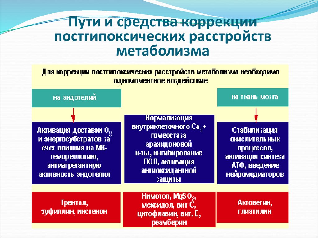 Средства коррекции. Коррекция метаболических нарушений препараты. Средства для коррекции метаболических процессов. Коррекция нарушения метаболизма. Коррекция белкового обмена препараты.