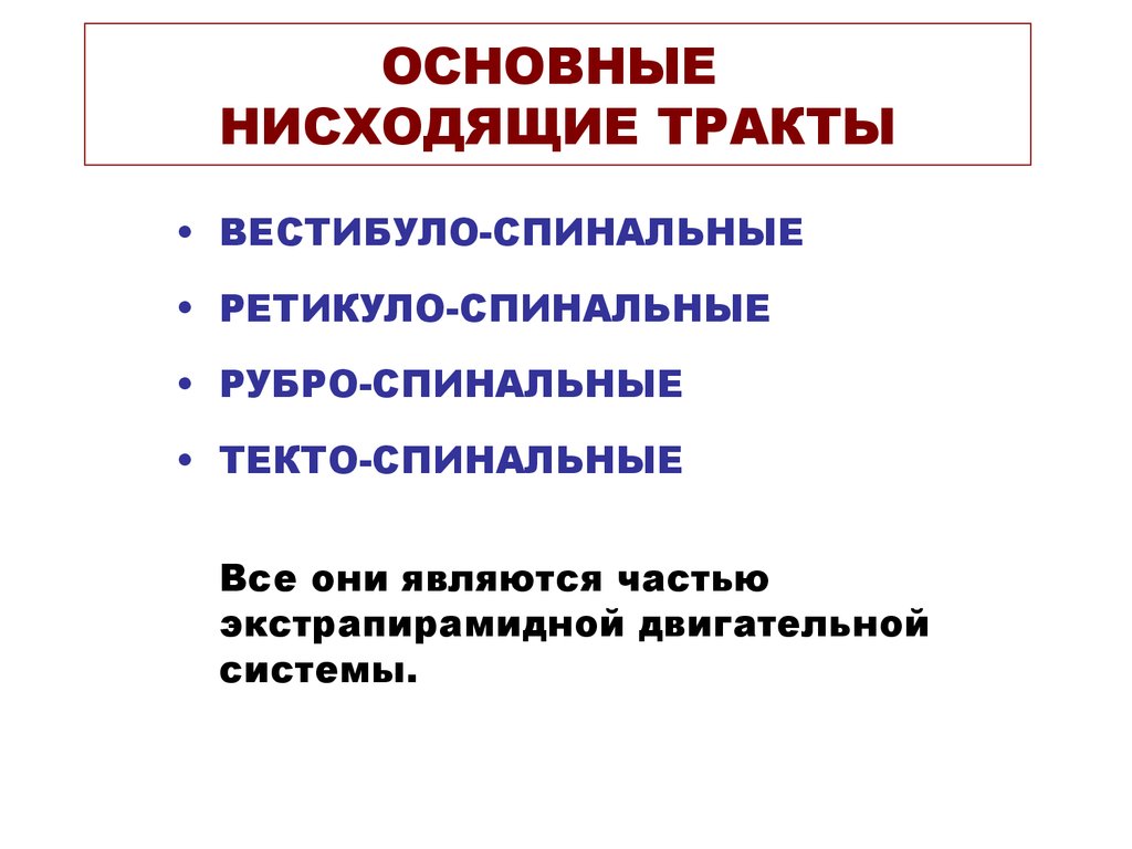 ОСНОВНЫЕ НИСХОДЯЩИЕ ТРАКТЫ
